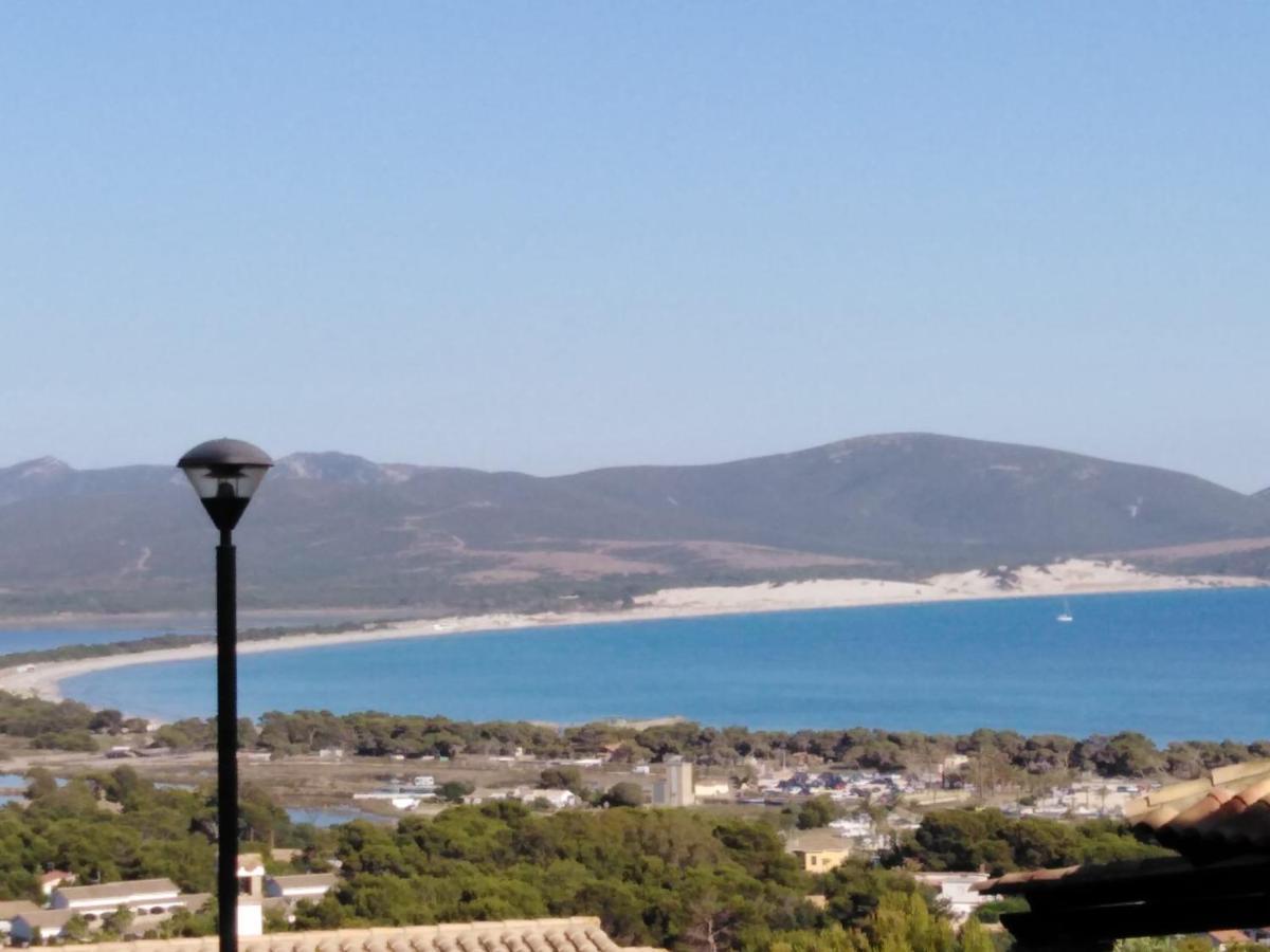 Villa Panoramica Immersa Nel Verde Porto Pino Eksteriør billede