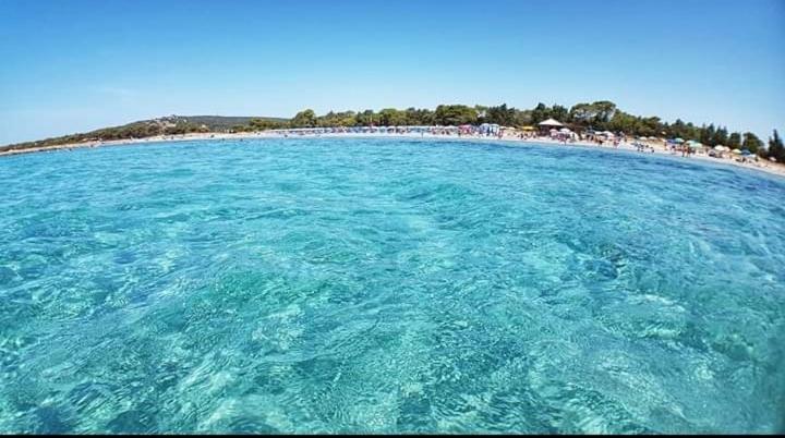 Villa Panoramica Immersa Nel Verde Porto Pino Eksteriør billede